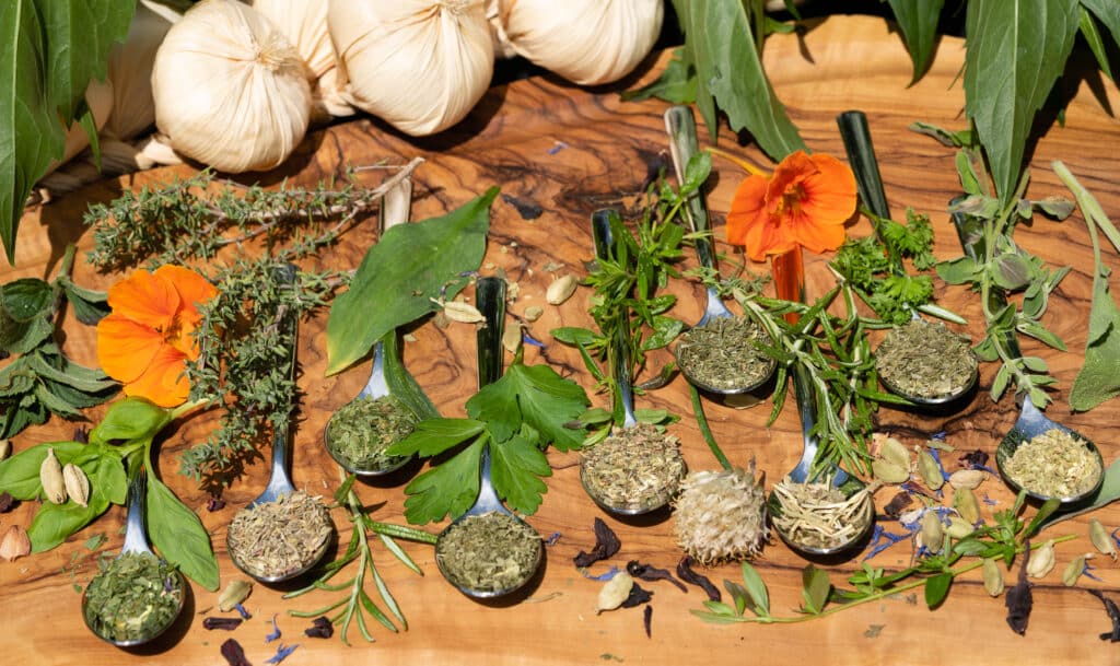 growmyownhealthfood.com : medicinal herb kit