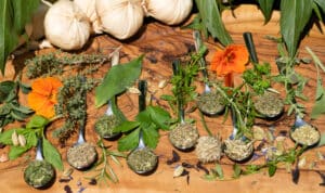 growmyownhealthfood.com : medicinal herb kit