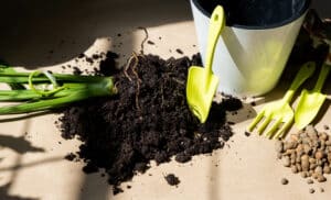 growmyownhealthfood.com : Herb Garden Soil Mix
