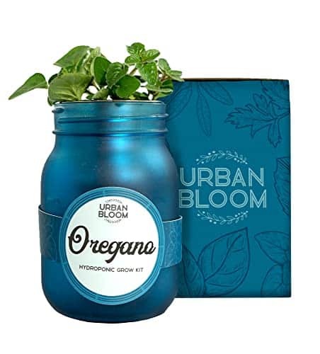 Product image of urban-bloom-hydroponic-herb-growing-b0bxzkzhyc