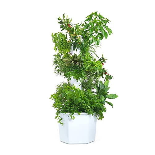 Product image of vertical-hydroponic-tower-aerospring-vegetable-b07tqllrq1