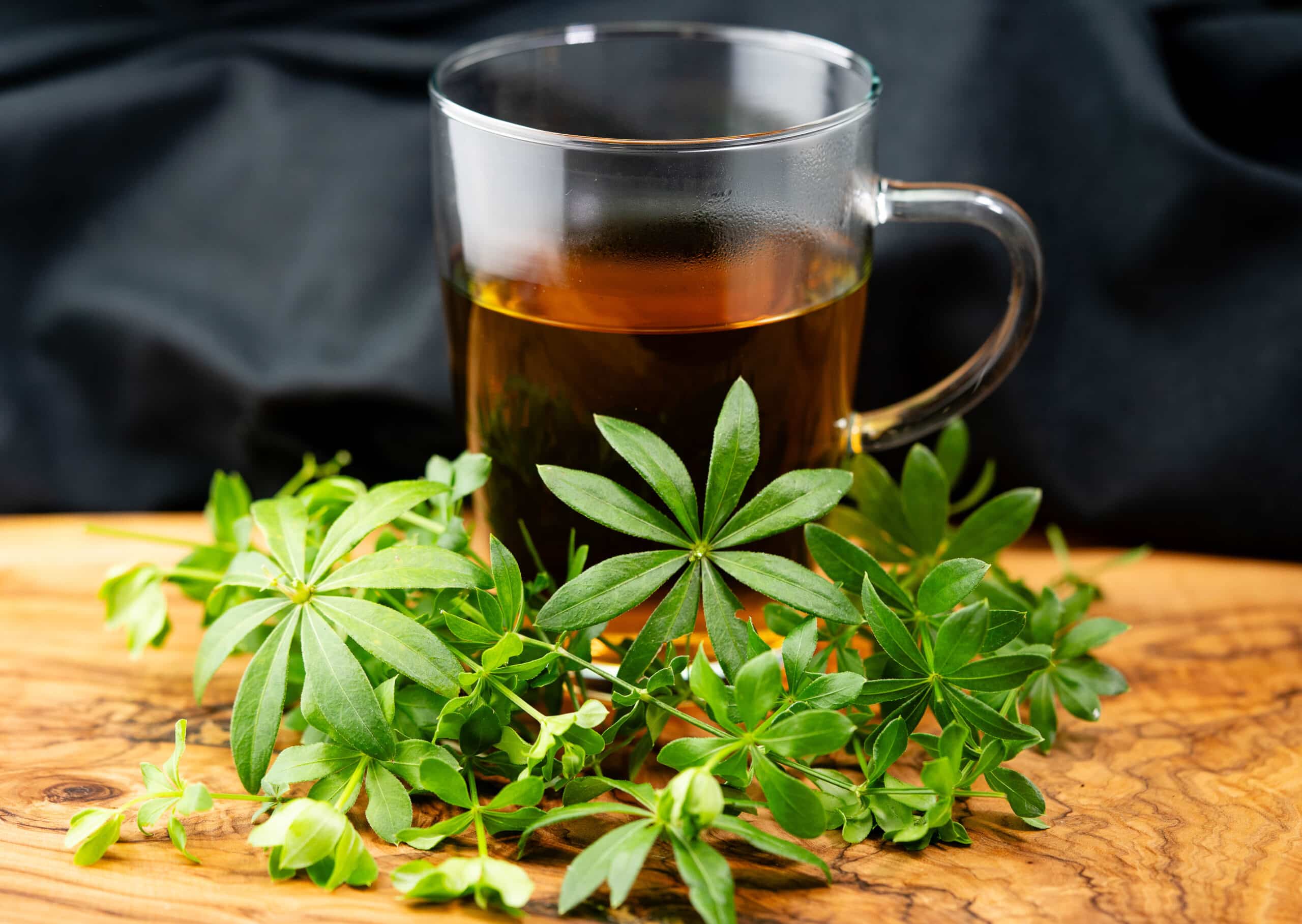 growmyownhealthfood.com : Are medicinal herbs considered true medicine?