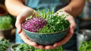 growmyownhealthfood.com : Can you eat microgreens raw?