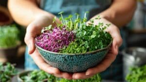 growmyownhealthfood.com : Can you use tap water for microgreens?