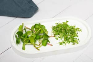 growmyownhealthfood.com : How long do microgreens last in the fridge?