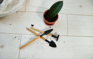 growmyownhealthfood.com : How to keep garden tools from rusting?
