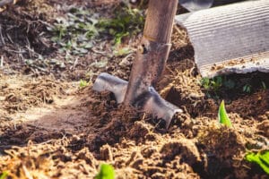 growmyownhealthfood.com : How to use a hoe as a garden tool?