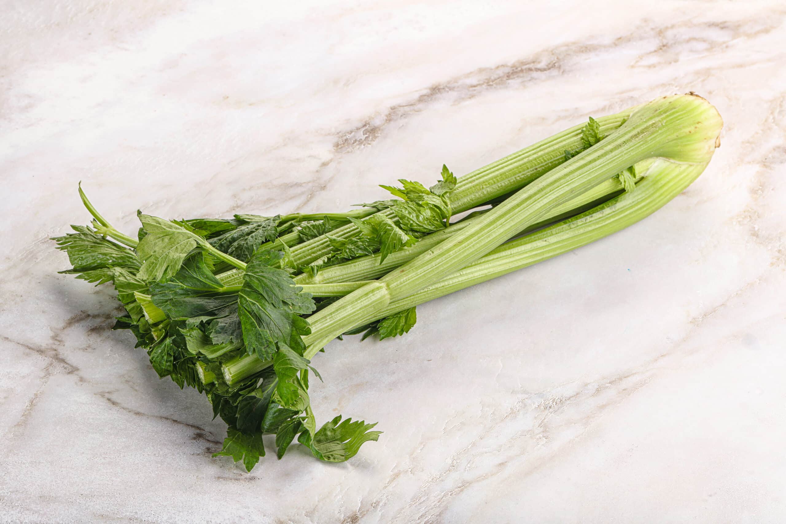 growmyownhealthfood.com : Is celery a microgreen?