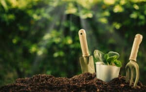 growmyownhealthfood.com : Is gardening cheaper than buying?