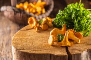 growmyownhealthfood.com : What time of year does chicken of the woods grow?