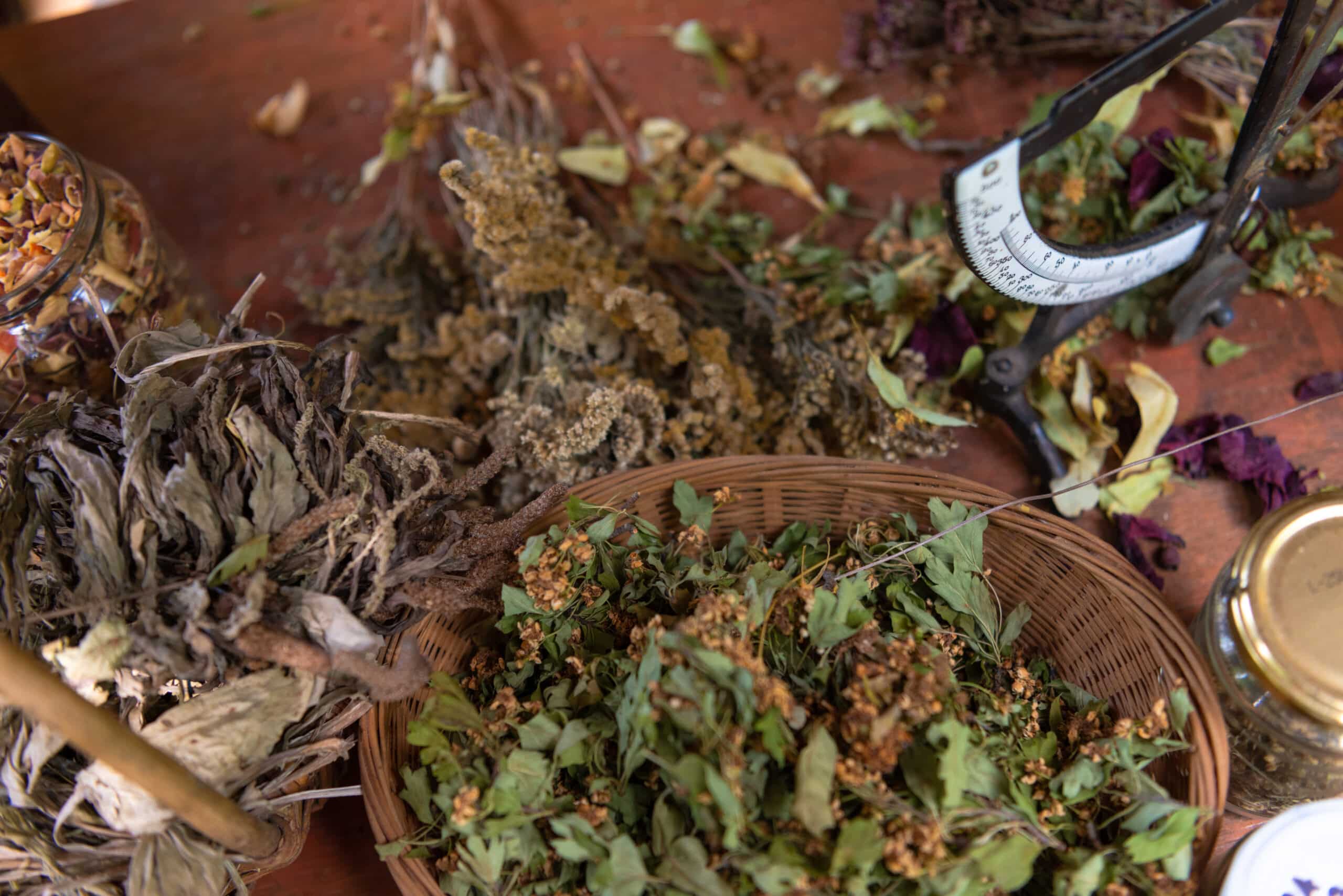 growmyownhealthfood.com : Which medicinal herbs clash with blood pressure medicine?